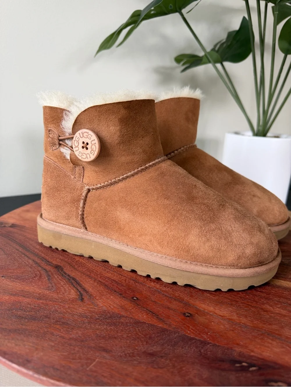 🍁UGG Mini Bailey Button II Suede Ankle Boot - Chestnut Brown Youth Size 6 101642